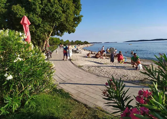 Kocovic Appartement *